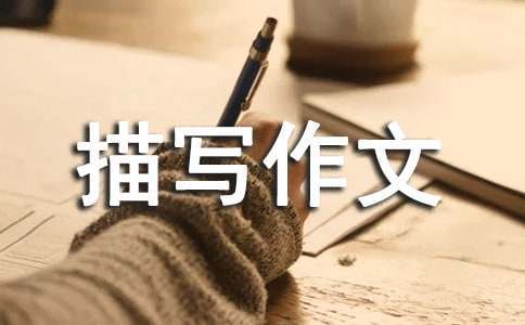 如何制定有效的篮球训练策略以提高球员表现_1